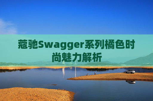 蔻驰Swagger系列橘色时尚魅力解析